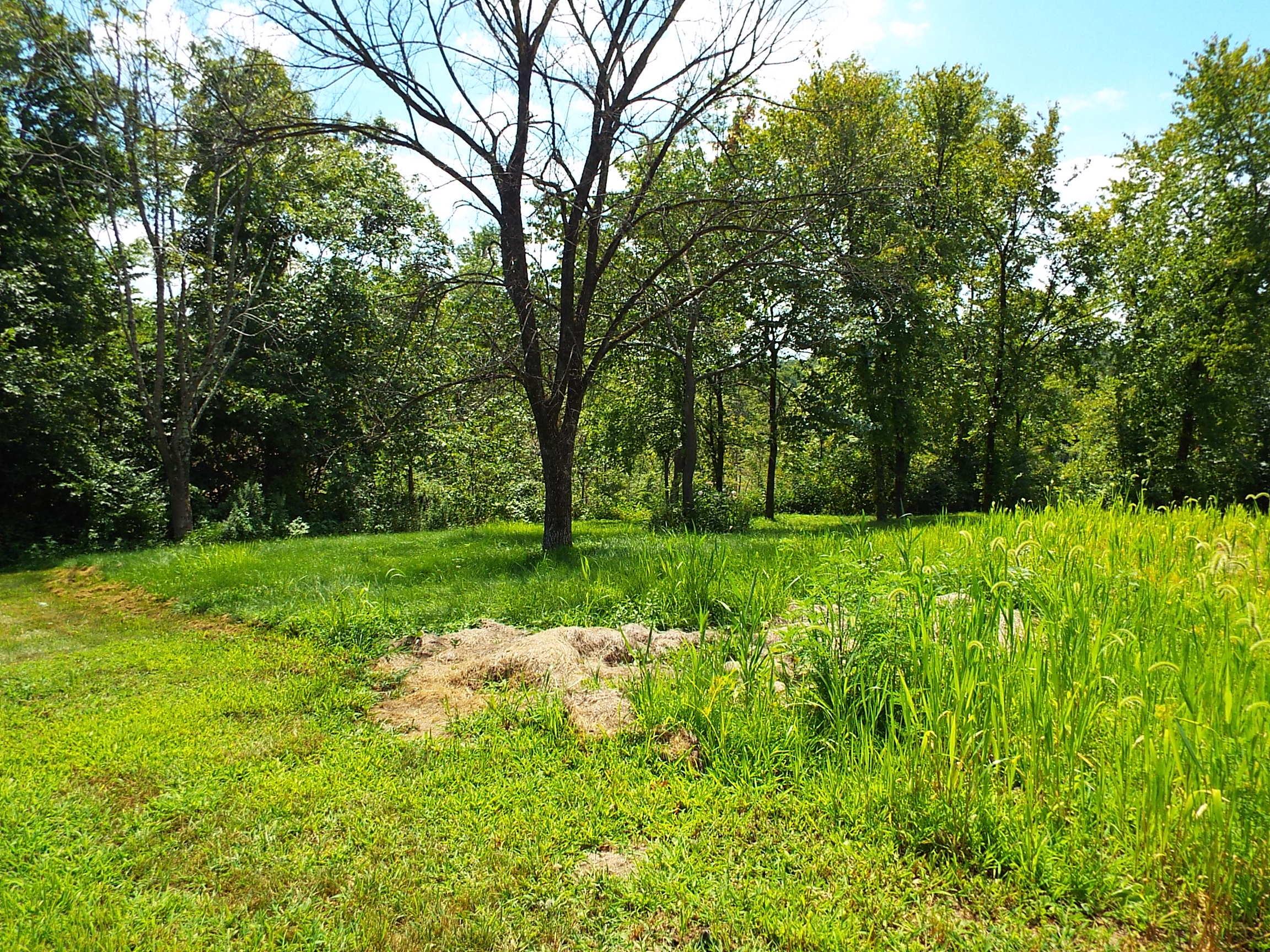 4467 Perry Ridge Nelsonville, OH 45764 - Photo 17 of 18