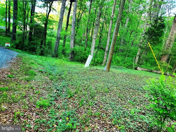 a view of a green field with lots of bushes