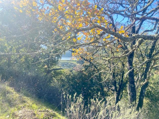 0 Cinnabar Hills Road San Jose, CA 95120 - Photo 3 of 23