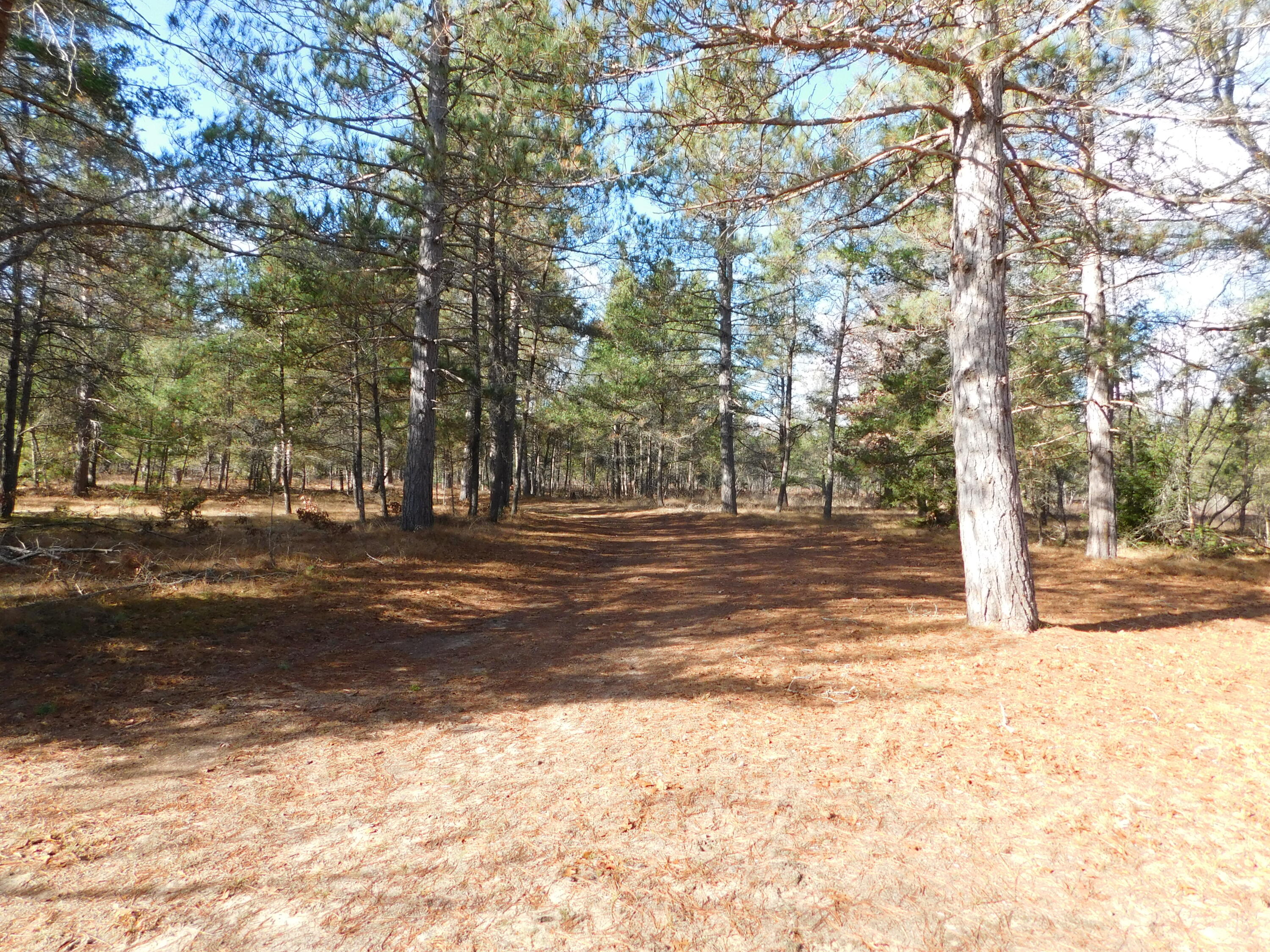 4964 Hi Banks Road Grayling, MI 49738 - Photo 53 of 60 Gallery Image 53