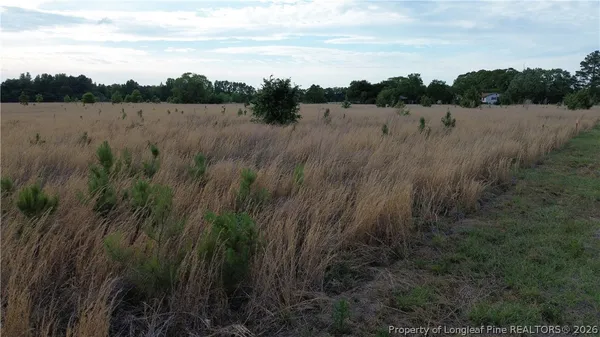 a view of a yard in a field