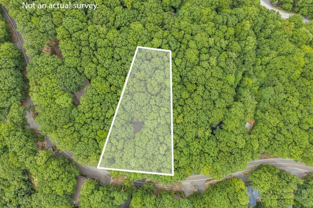 825 Pine Ridge Road Beech Mountain, NC 28604 - Photo 3 of 36