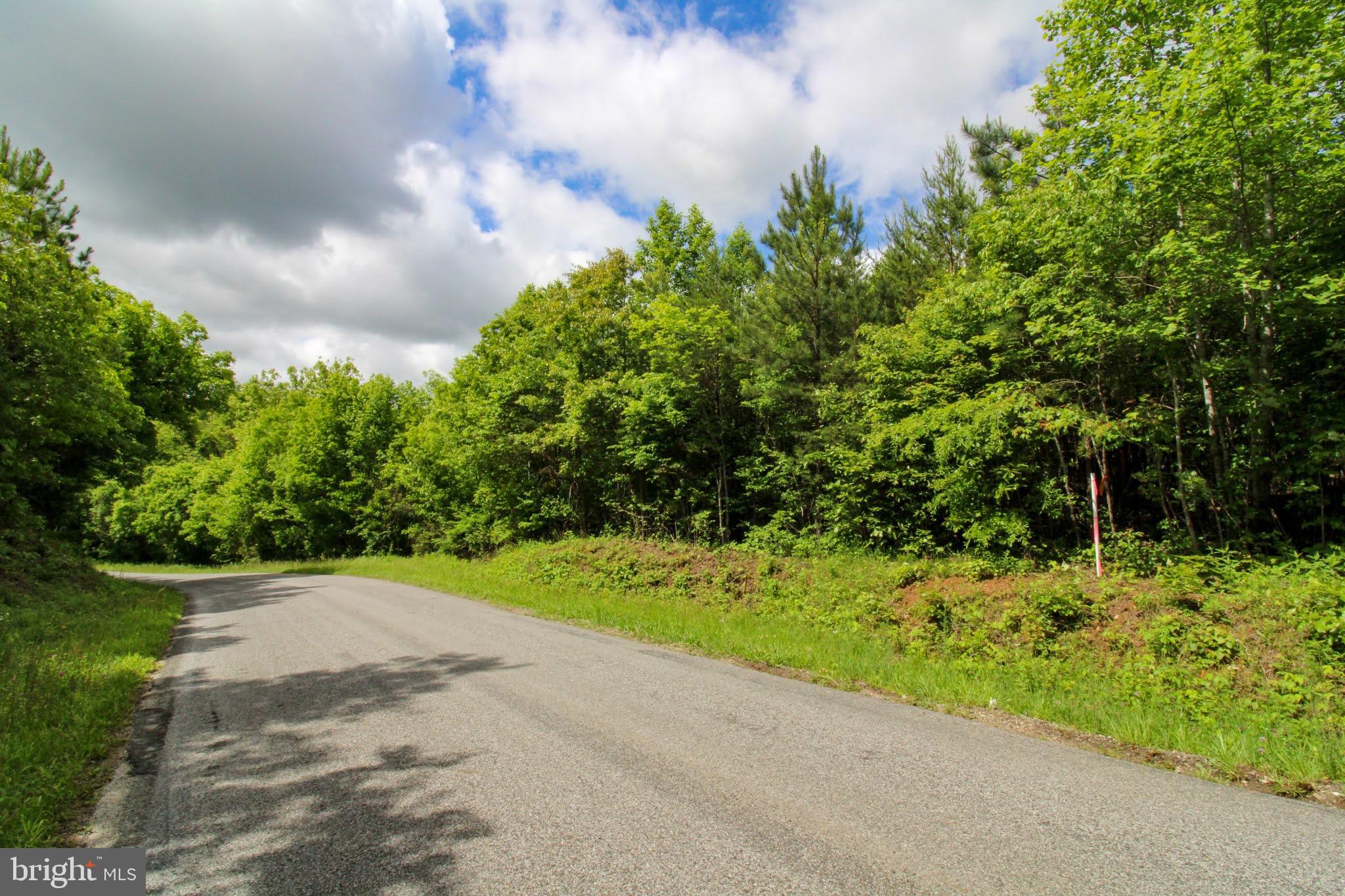 Tbd Cross Stitch Road, Unit 2E Dry Fork, VA 24549 - Photo 1 of 12