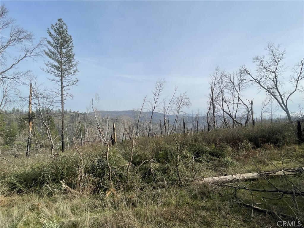 998 Encina Grande Road Berry Creek, CA 95916 - Photo 11 of 12