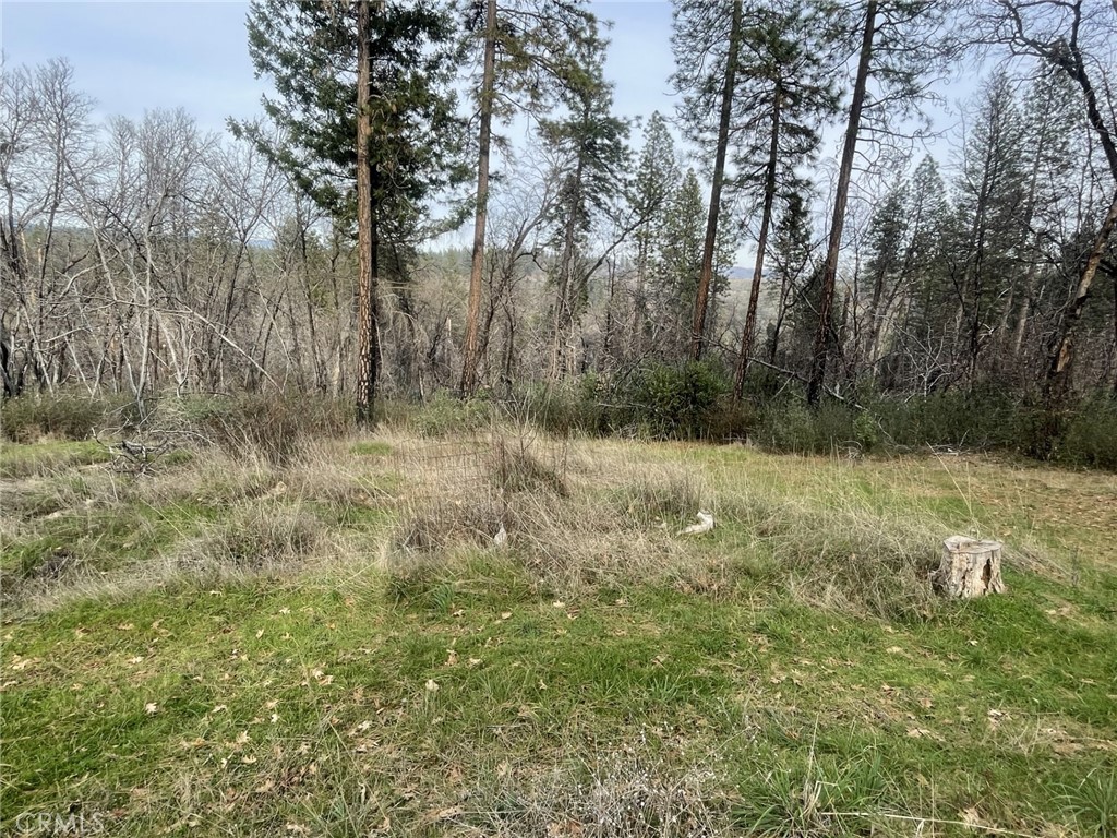 998 Encina Grande Road Berry Creek, CA 95916 - Photo 3 of 12