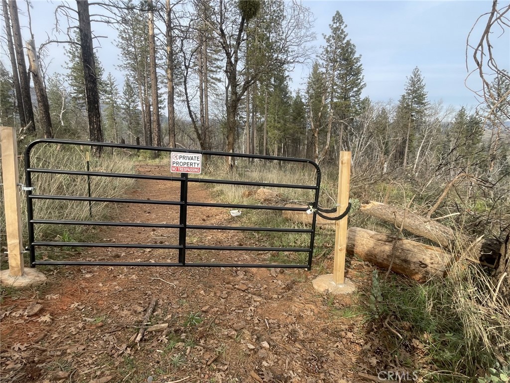 998 Encina Grande Road Berry Creek, CA 95916 - Photo 7 of 12