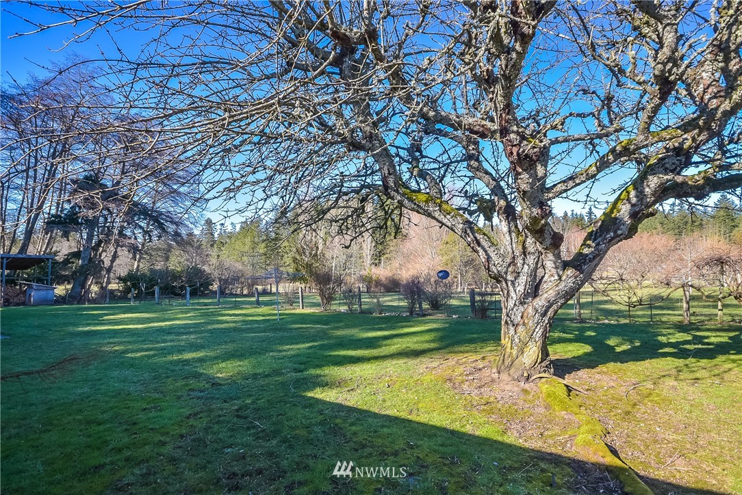 787 Silver Lake Road Oak Harbor, WA 98277 - Photo 24 of 25 Gallery Image 24