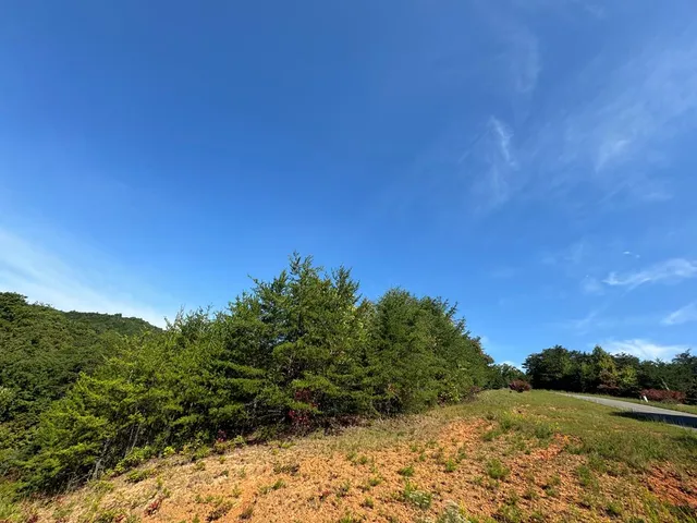 a view of a yard with a tree