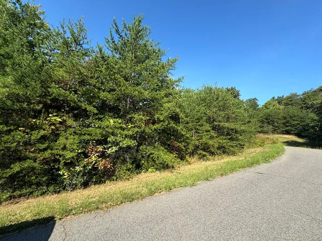 a view of a pathway with a garden