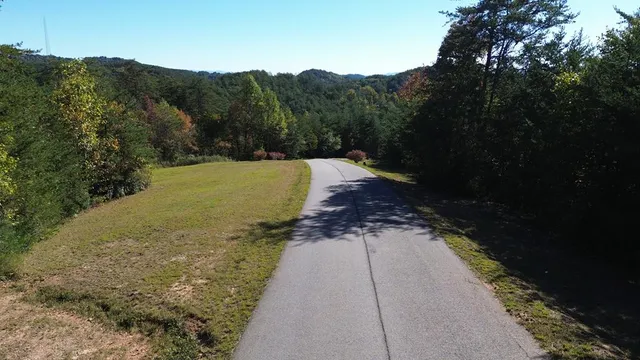 a view of a lush green forest with mountains in the background