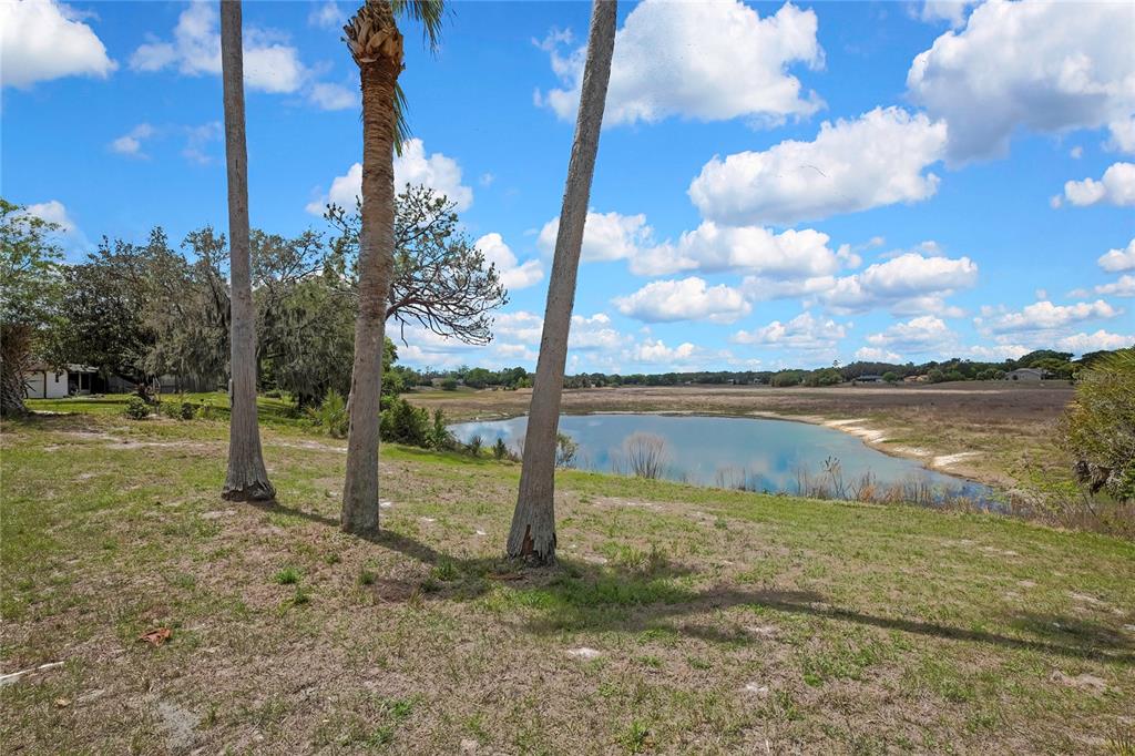 1021 Waterfall Drive Spring Hill, FL 34606 - Photo 5 of 41