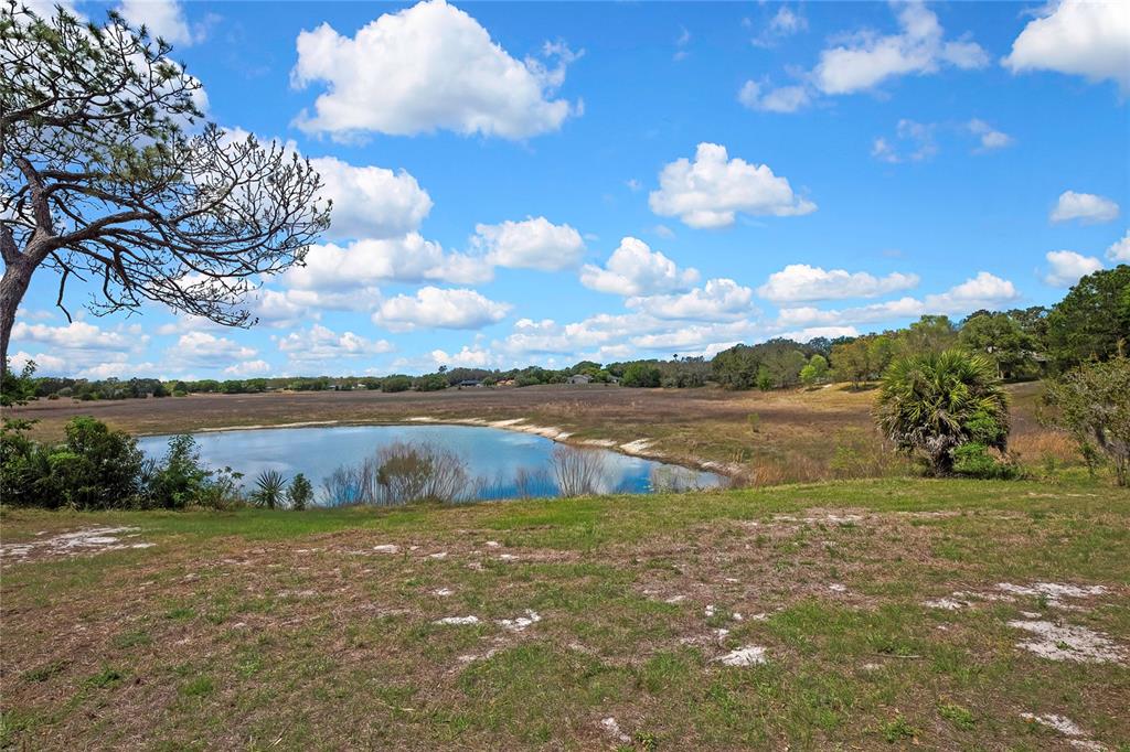 1021 Waterfall Drive Spring Hill, FL 34606 - Photo 6 of 41