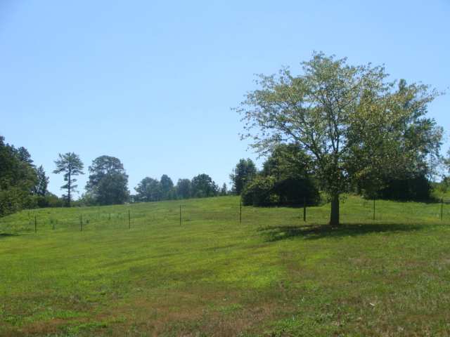 293 Tamassee Knob Road Tamassee, SC 29686 - Photo 3 of 5 Gallery Image 3