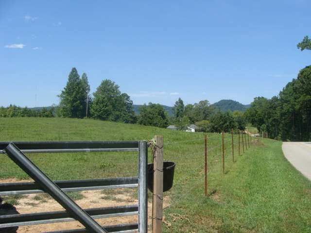 293 Tamassee Knob Road Tamassee, SC 29686 - Photo 4 of 5 Gallery Image 4