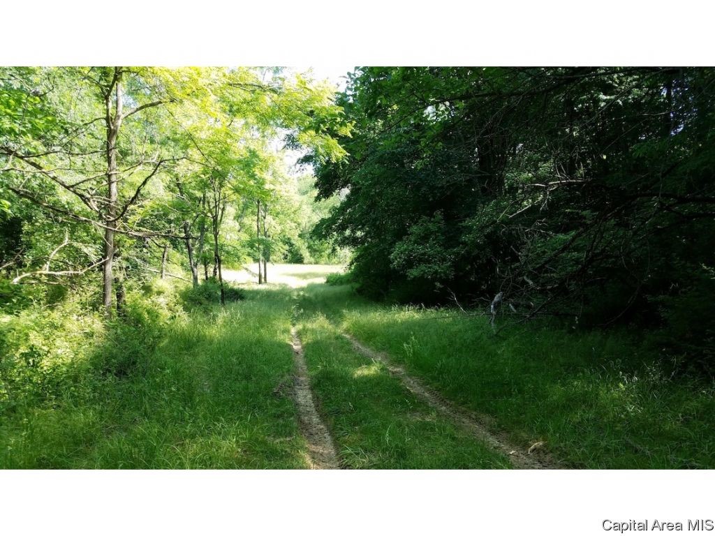 1297 East Township Road Vermont, IL 61484 - Photo 11 of 15