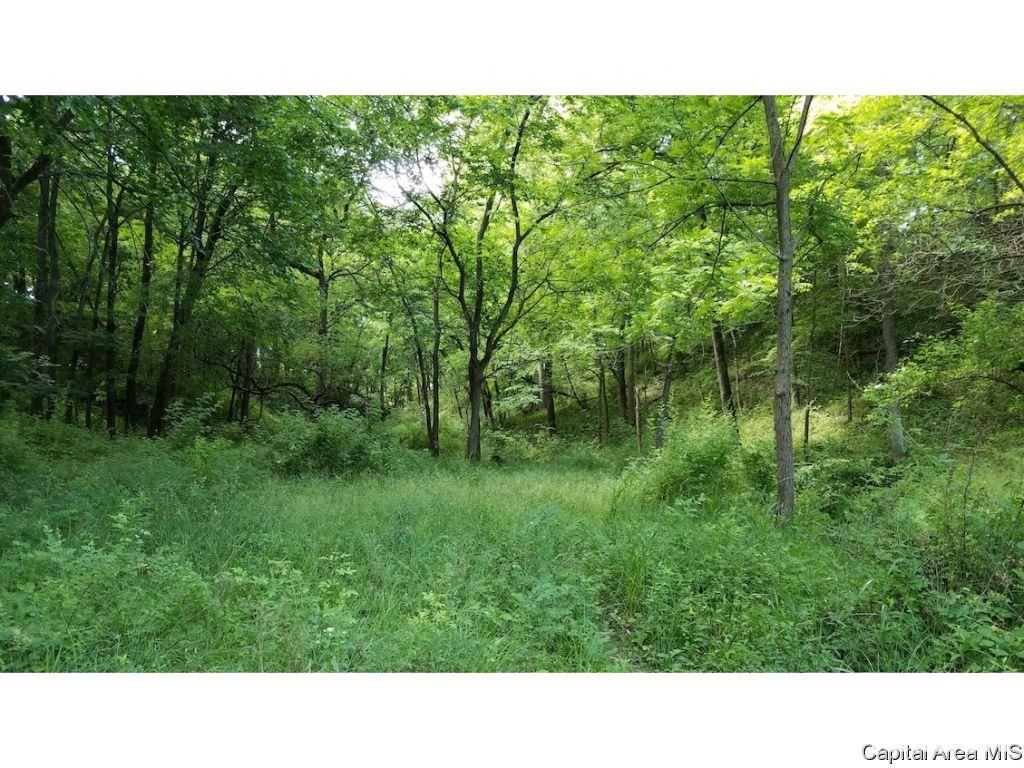 1297 East Township Road Vermont, IL 61484 - Photo 8 of 15