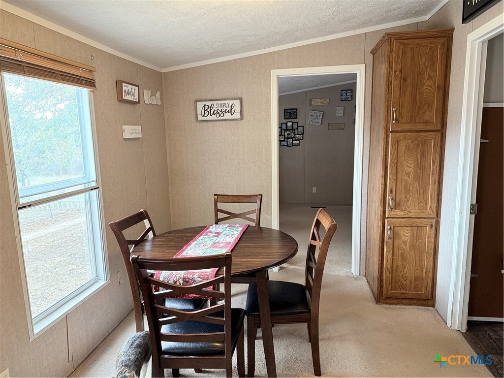 107 Dallas Street Goliad, TX 77963 - Photo 8 of 28 a view of a dining room with furniture and window