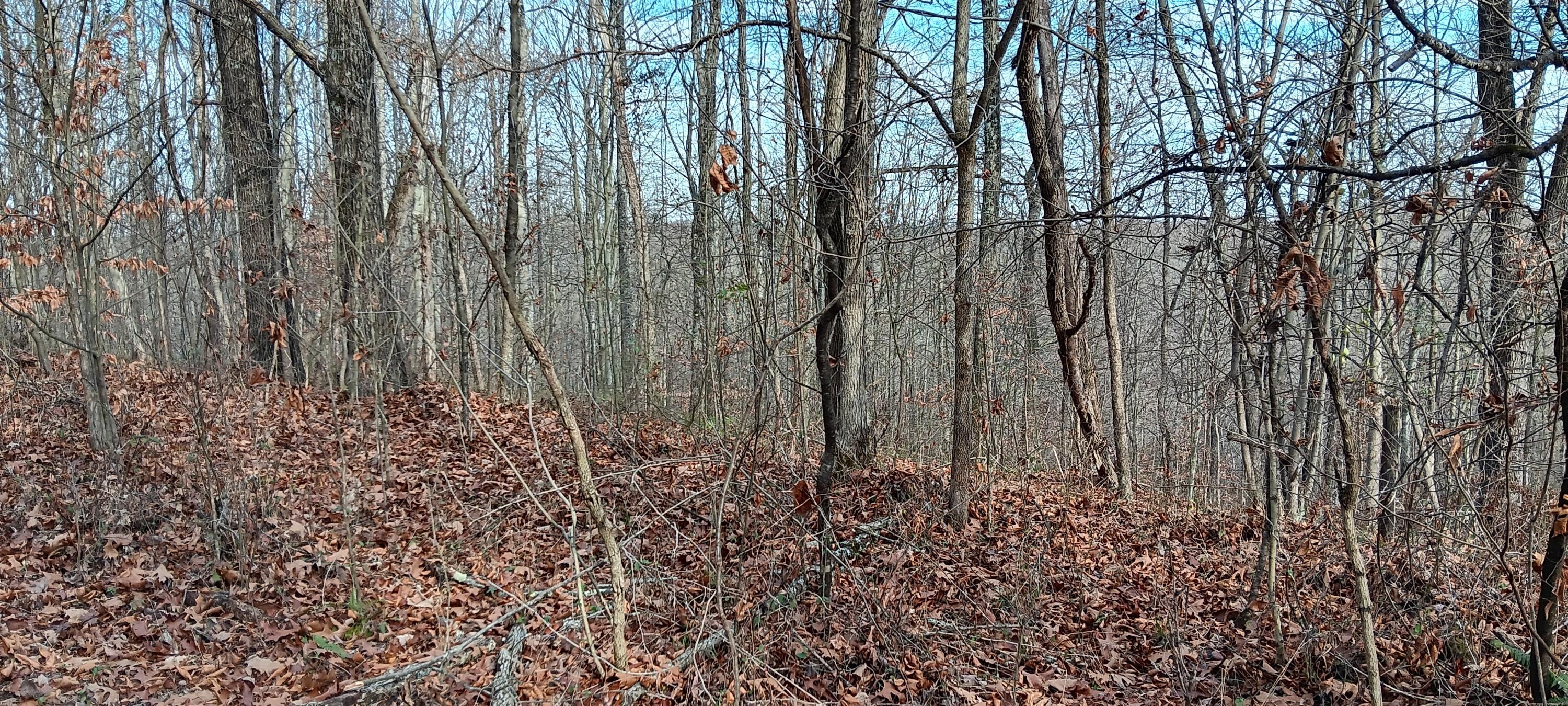 0 Calaway Road, Unit TRACT 1) Coolville, OH 45723 - Photo 12 of 21 20231130_131629