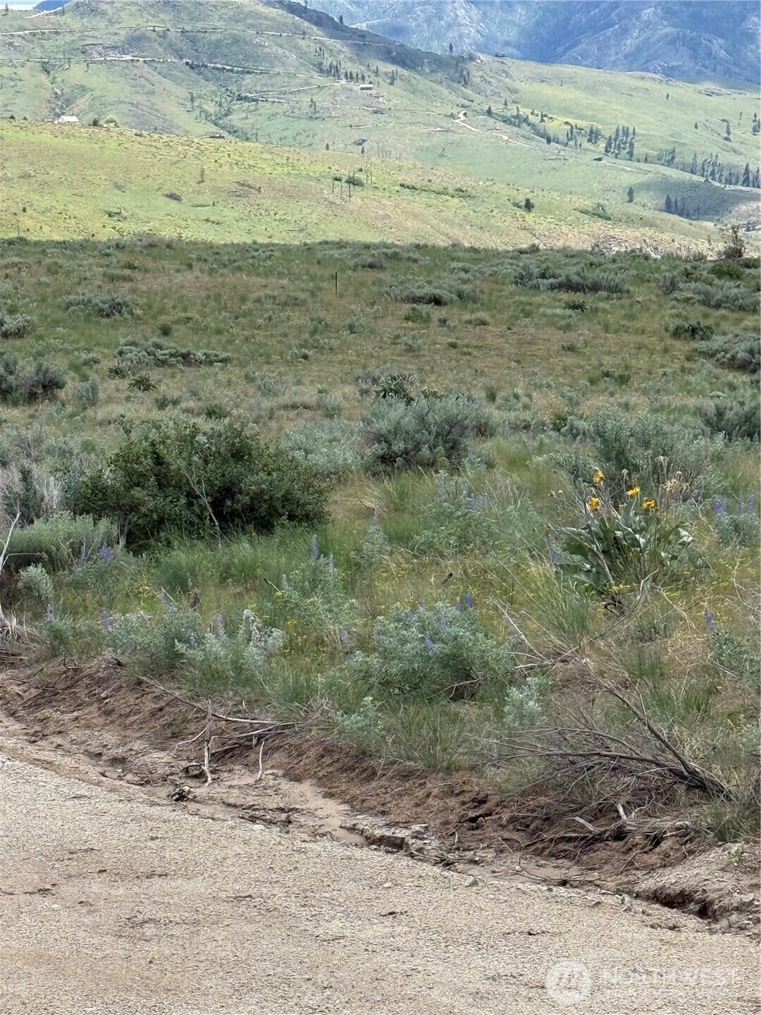 3 Ruttin Ridge Road Methow, WA 98834 - Photo 24 of 33