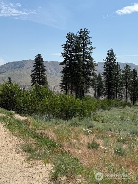 3 Ruttin Ridge Road Methow, WA 98834 - Photo 25 of 35