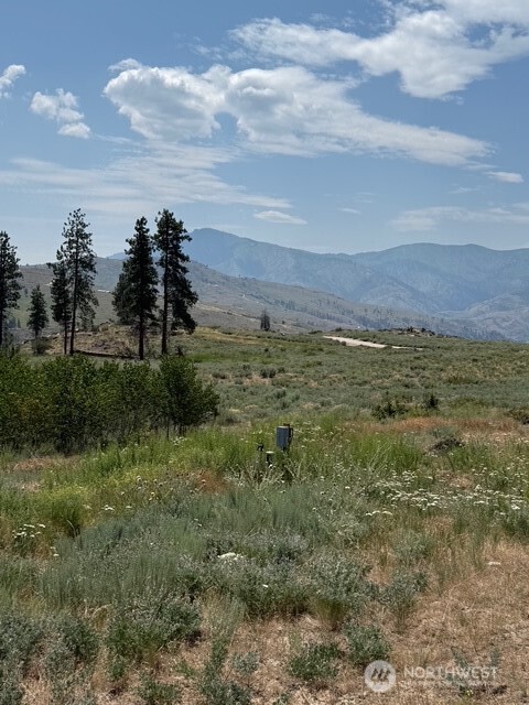 3 Ruttin Ridge Road Methow, WA 98834 - Photo 35 of 35
