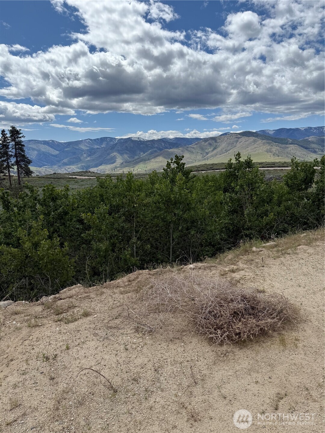 3 Ruttin Ridge Road Methow, WA 98834 - Photo 9 of 33