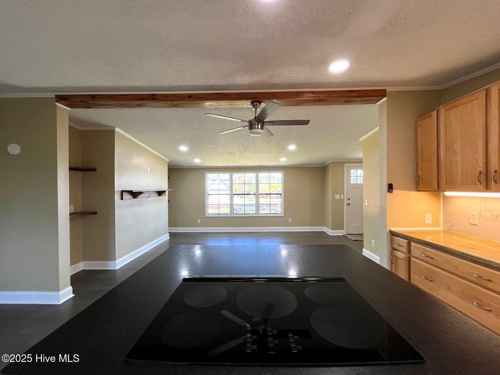 188 Shady Grove Road Carthage, NC 28327 - Photo 12 of 34 188 kitchen 1