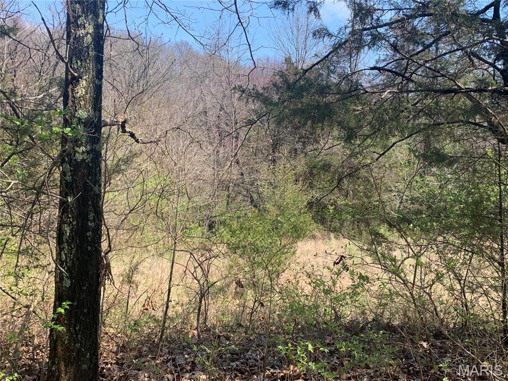 910 Old Eatherton Road Wildwood, MO 63038 - Photo 11 of 15