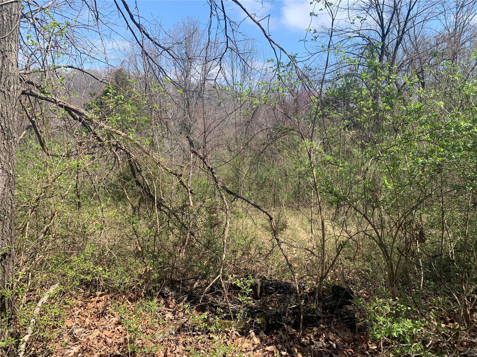 910 Old Eatherton Road Wildwood, MO 63038 - Photo 2 of 15