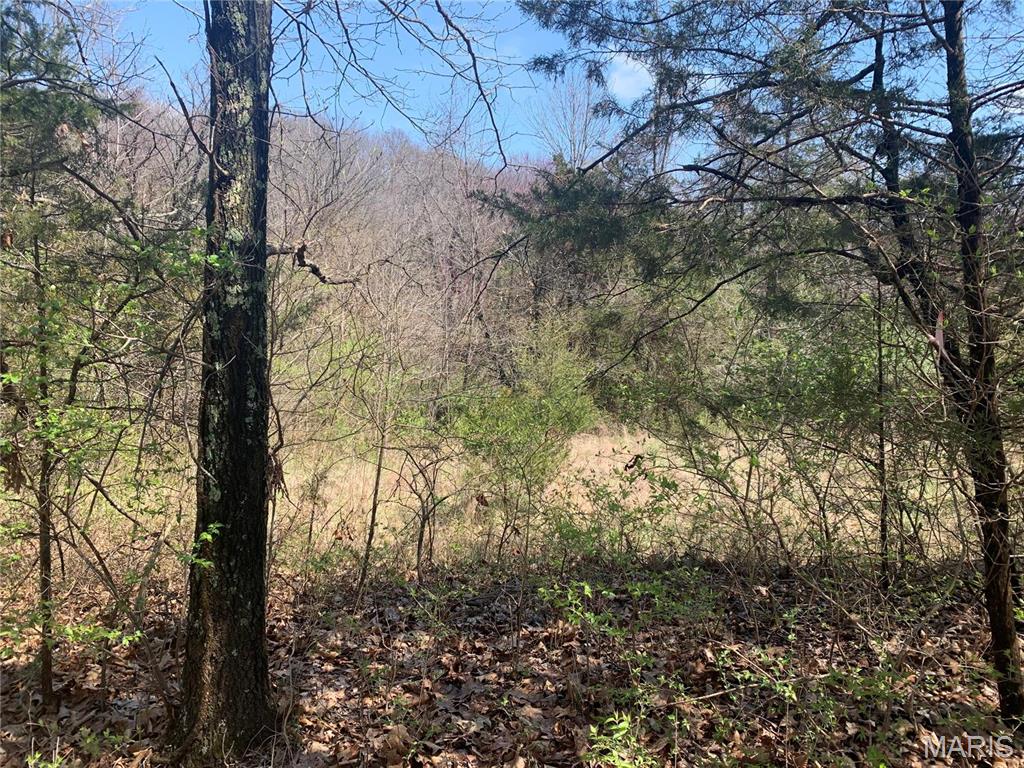 910 Old Eatherton Road Wildwood, MO 63038 - Photo 3 of 15