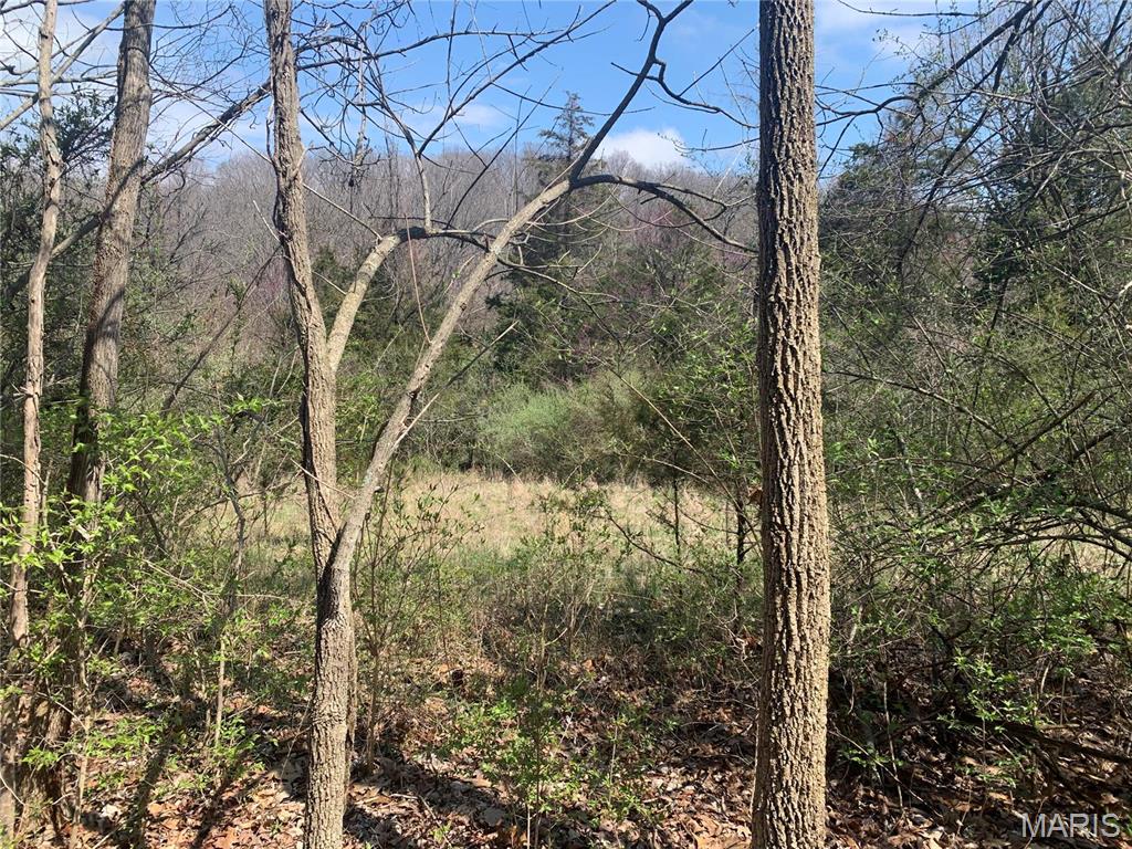 910 Old Eatherton Road Wildwood, MO 63038 - Photo 4 of 15