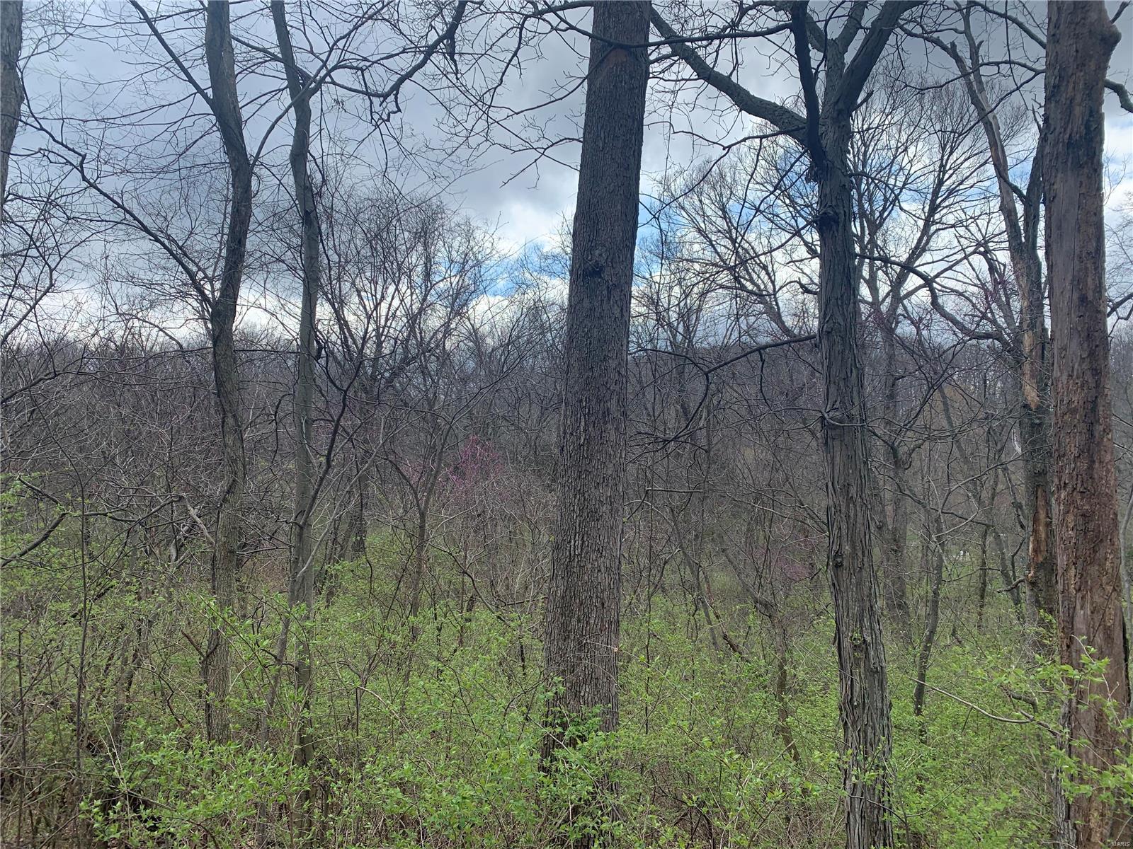 910 Old Eatherton Road Wildwood, MO 63038 - Photo 8 of 15