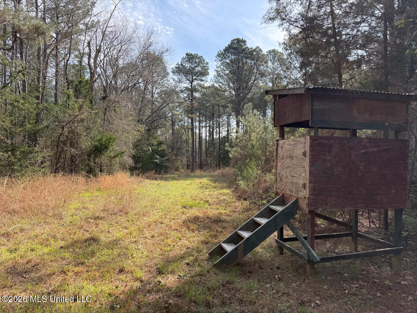 2893 Truesdale Road Carthage, MS 39051 - Photo 18 of 23 Leake 33-35