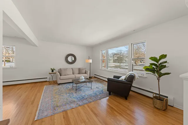 a living room with furniture and a potted plant