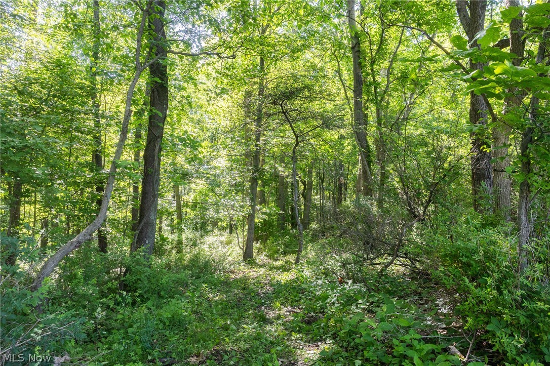 Ridge Road Minerva, OH 44657 - Photo 4 of 49