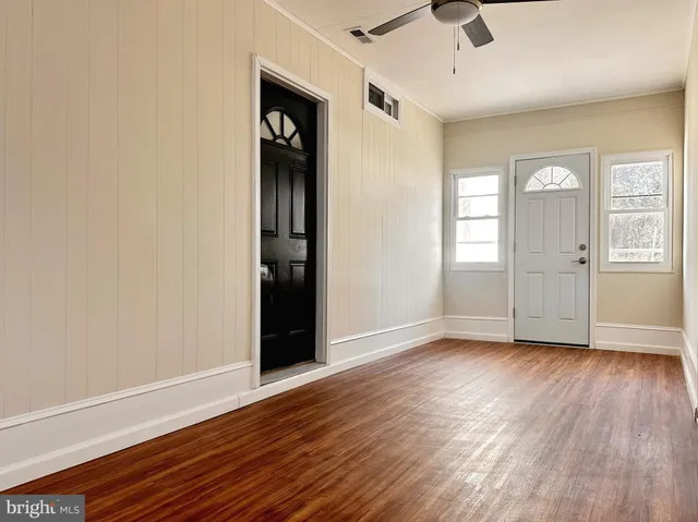 a view of a yard with plants and trees