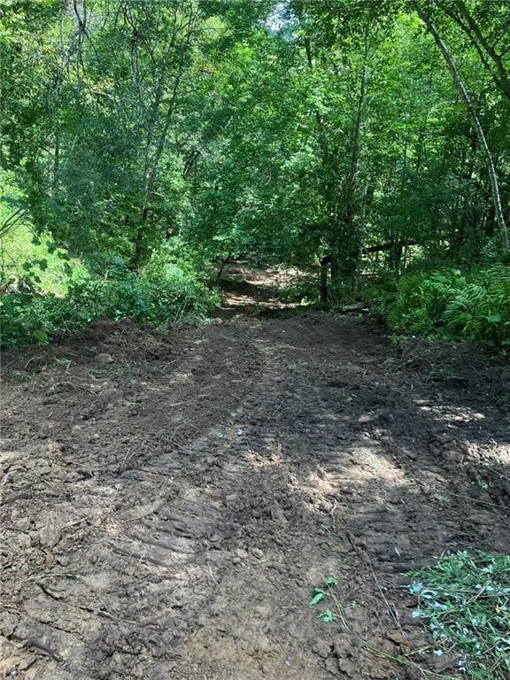 N3953-201 Bear Pen Road Arkansaw, WI 54721 - Photo 37 of 43