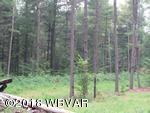 Lot 28 Beutertown Road Liberty, PA 16930 - Photo 4 of 8 125768 (04)