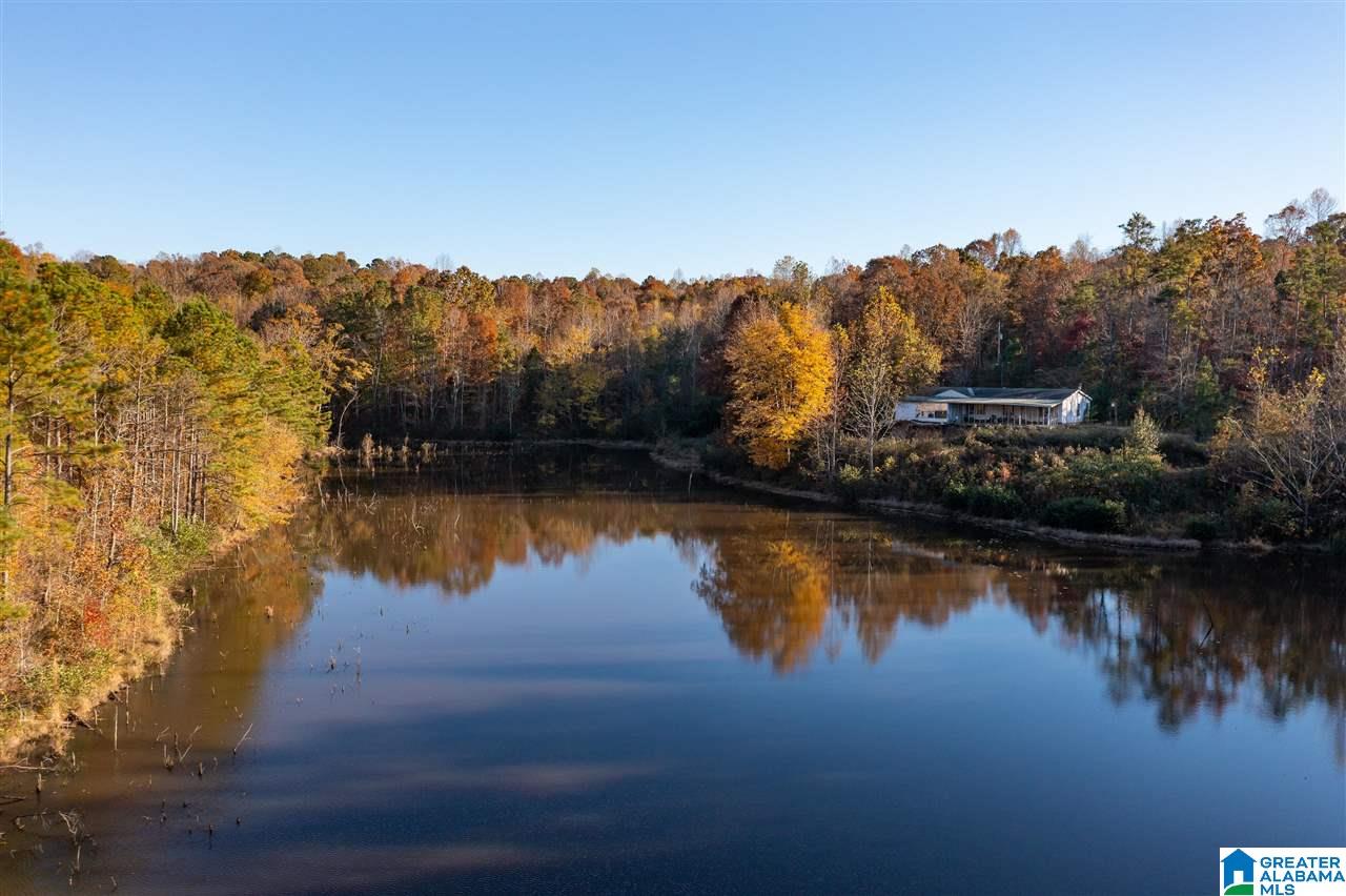 300 Henderson Lake Road Sylacauga, AL 35151 - Photo 18 of 20
