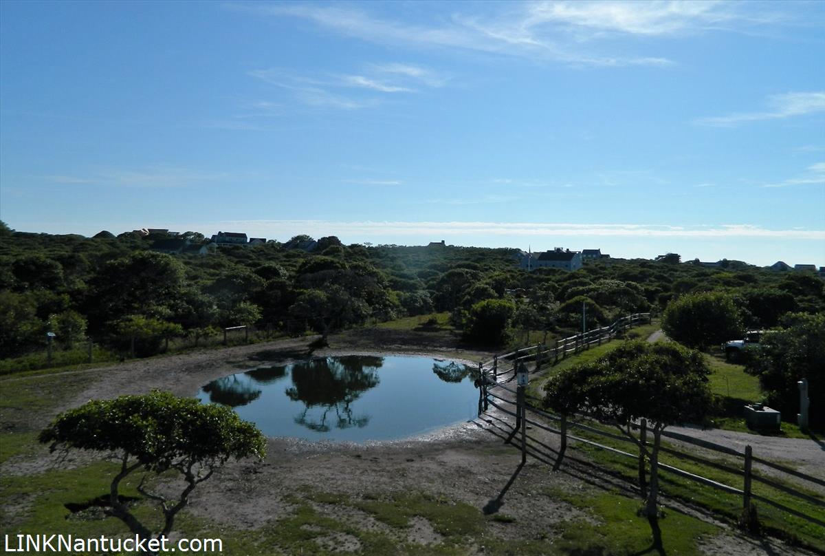 36 Chuck Hollow Road Nantucket, MA 02554 - Photo 12 of 13 Paddock/Pond - Southerly View