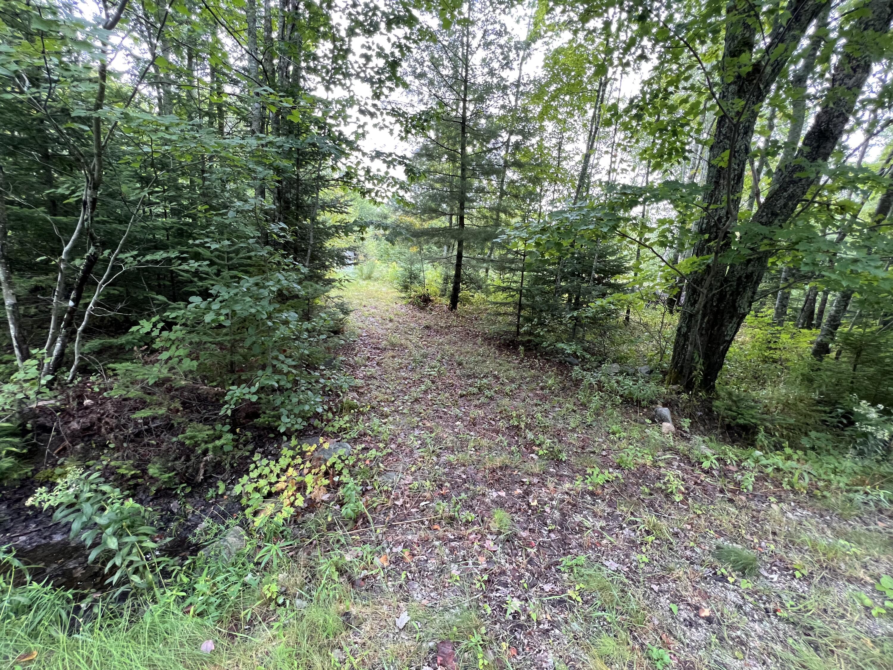 76 Mogador Road Steuben, ME 04680 - Photo 12 of 14 00124D5D-C06F-459D-B200-2DC521BA5791