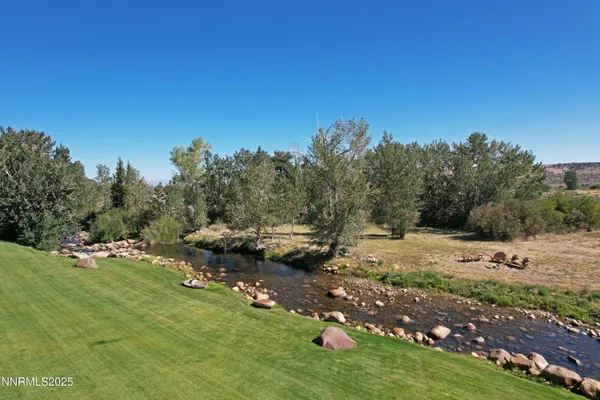 a view of a yard with a tree