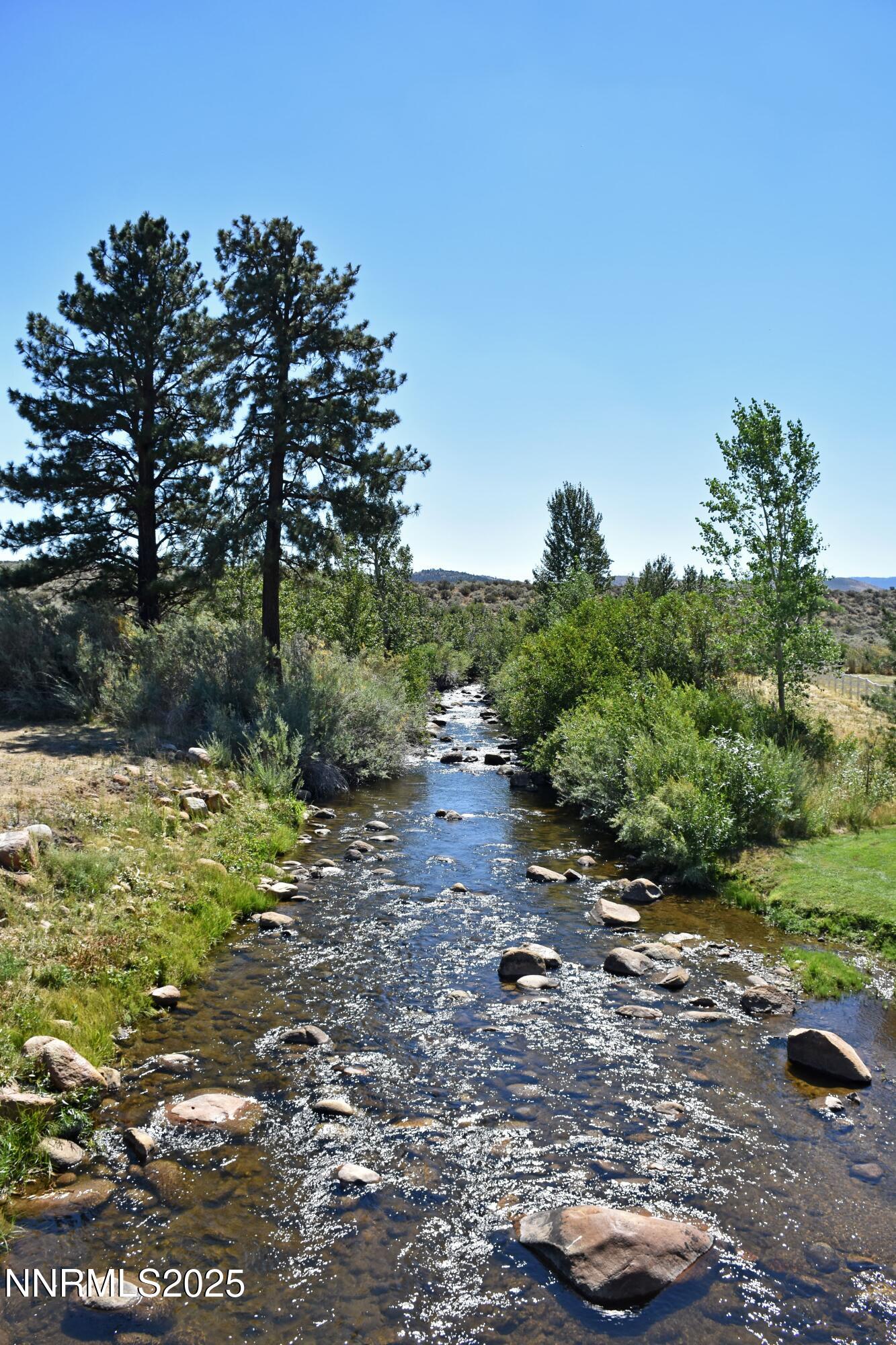 827 River Ranch Road Markleeville, CA 96120 - Photo 43 of 46 a view of a street with a yard