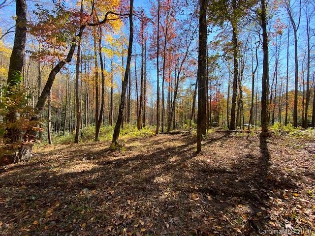 960 Wash Freeman Road, Unit 8 Hendersonville, NC 28792 - Photo 5 of 13 Gallery Image 5