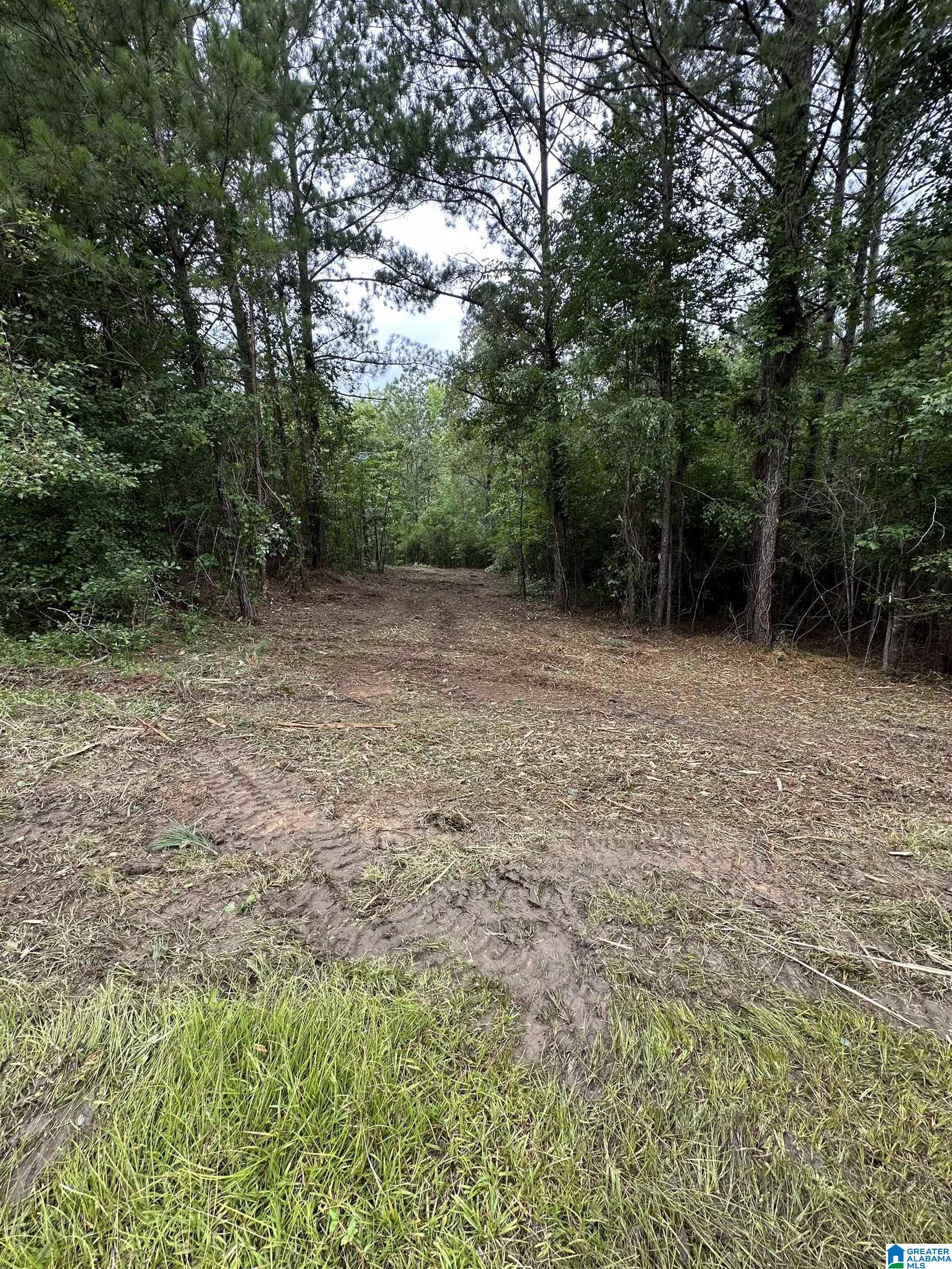 Stillwaters Trail, Unit 155 Sylacauga, AL 35151 - Photo 5 of 15