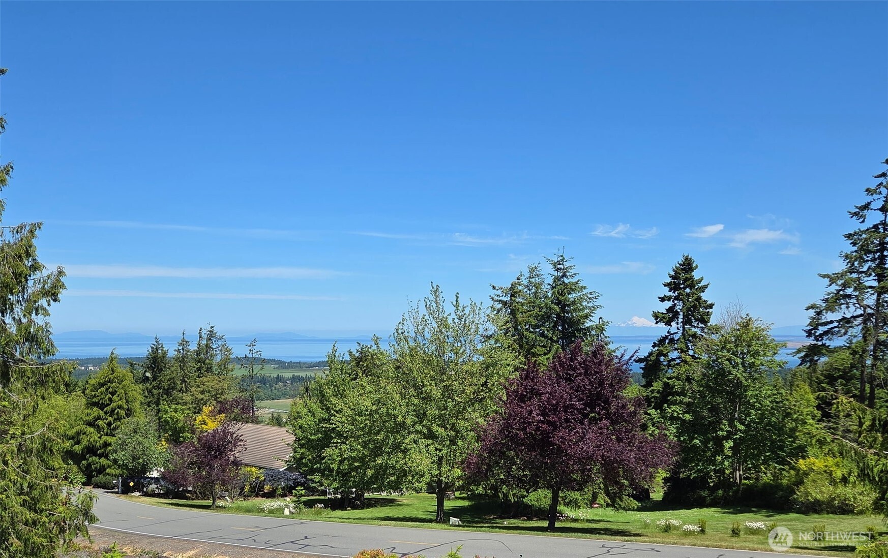 412 Doe Run Road Sequim, WA 98382 - Photo 3 of 40 a view of a yard with mountain and trees in the background