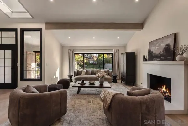a living room with furniture a fireplace and a potted plant