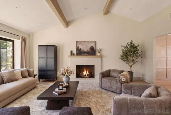 a living room with furniture window and a fireplace