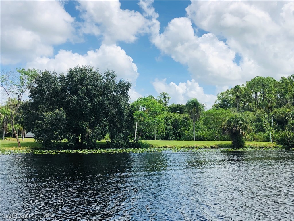 17800 Taylor Road Alva, FL 33920 - Photo 5 of 13 a view of a park