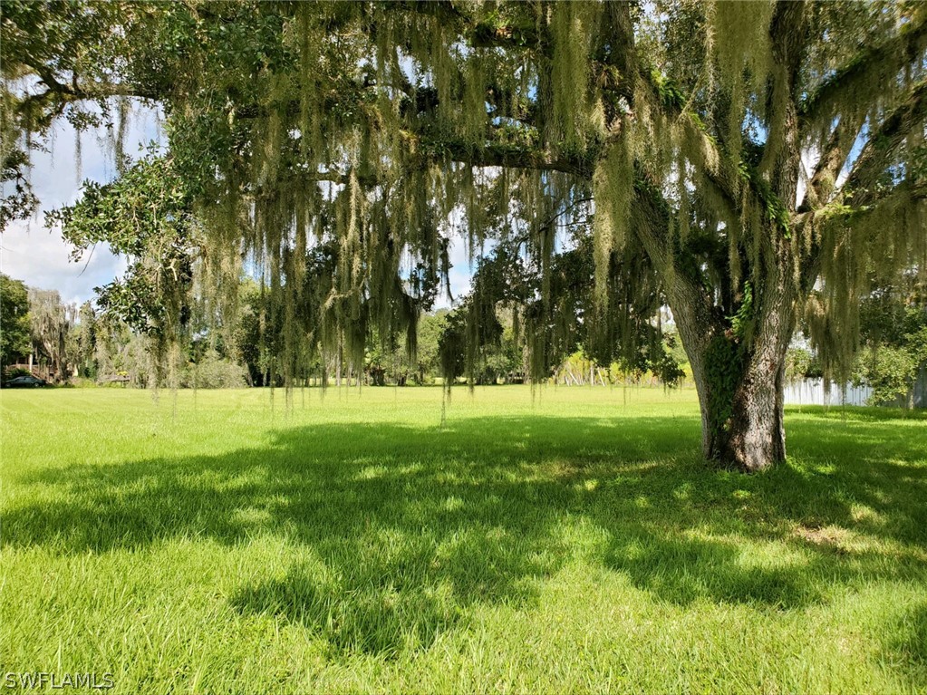 17800 Taylor Road Alva, FL 33920 - Photo 9 of 13 a view of outdoor space